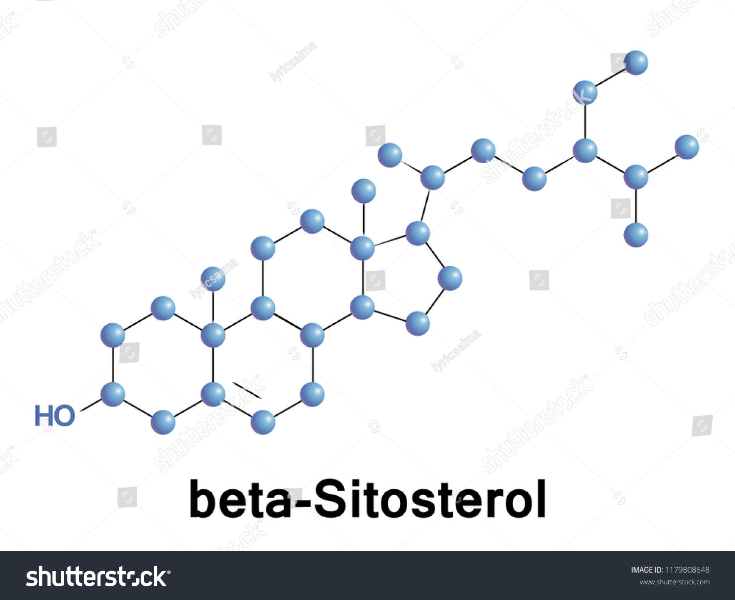 Betasitosterol One Several Phytosterols Plant Sterols Stock Vector Royalty Free 1179808648