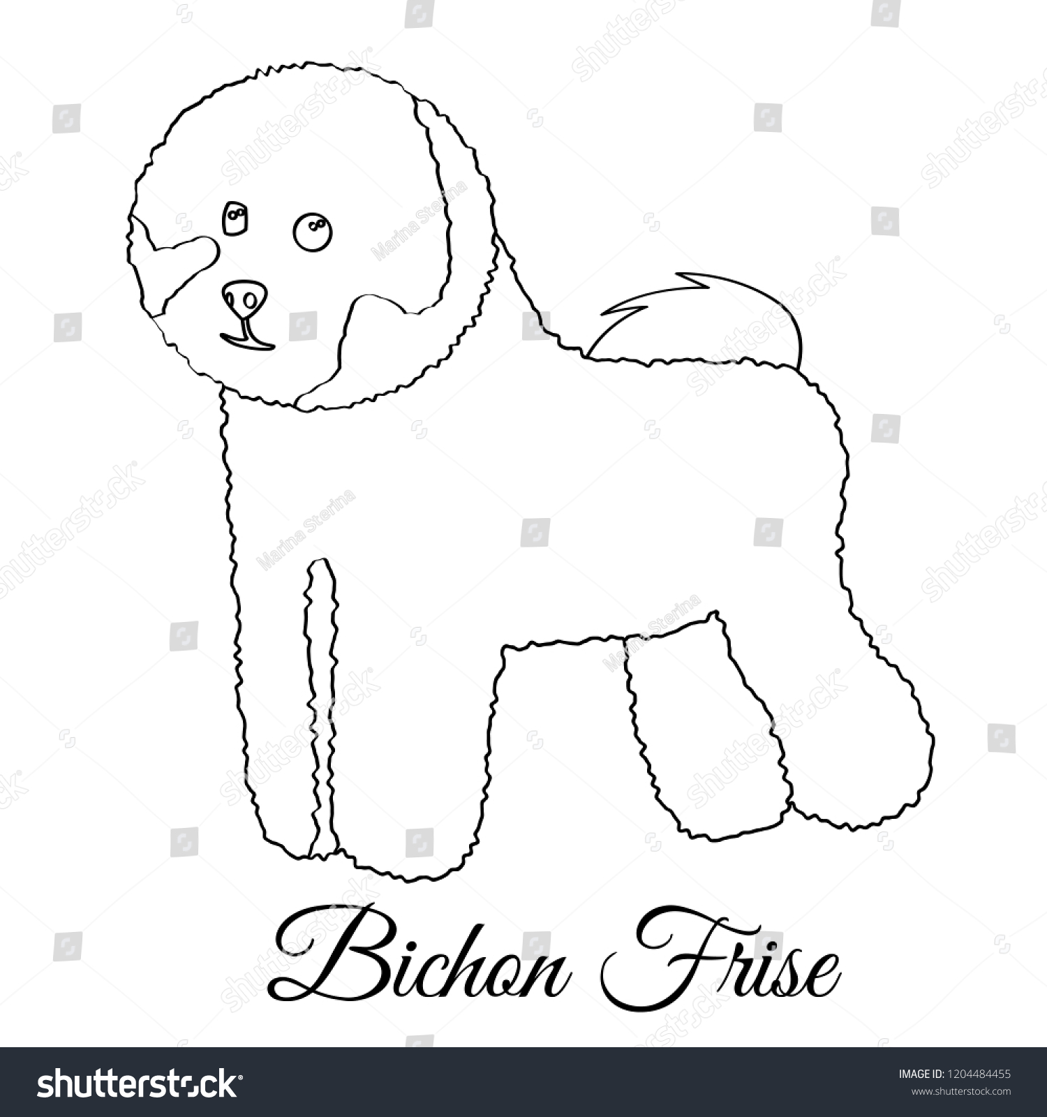 Bichon Frise Dog Coloring Page Cartoon Vector | Images and Photos finder