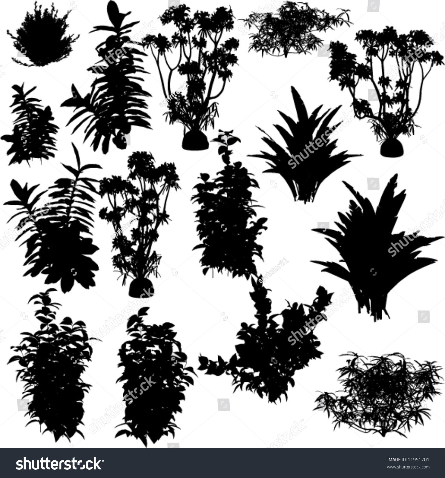 Big Collection Of Plants Silhouettes Stock Vector Illustration 11951701 ...