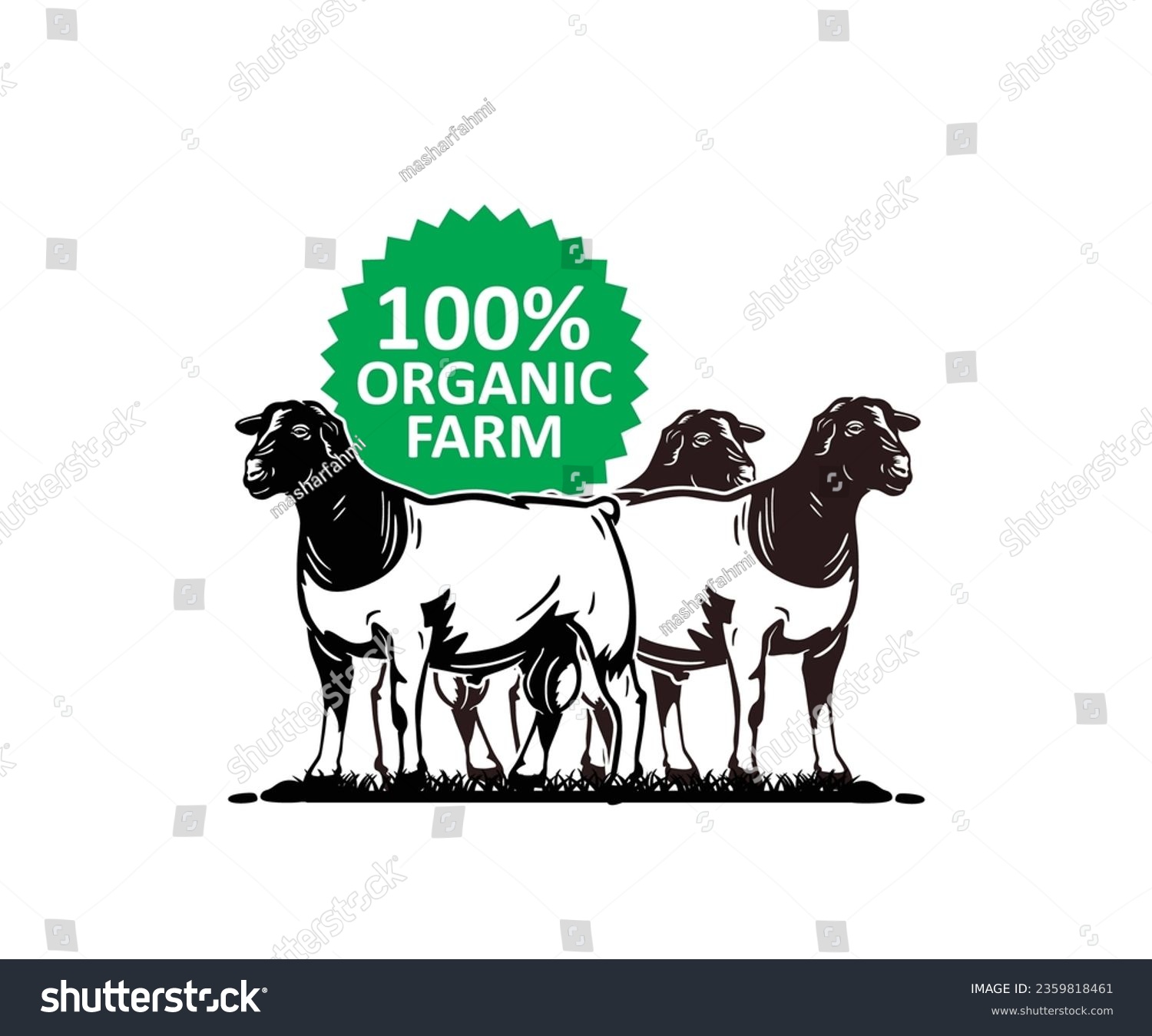 SVG of BIG DORPER SHEEPS BREEDING LOGO, silhouette of great sheep standing at farm vector illustrations. svg
