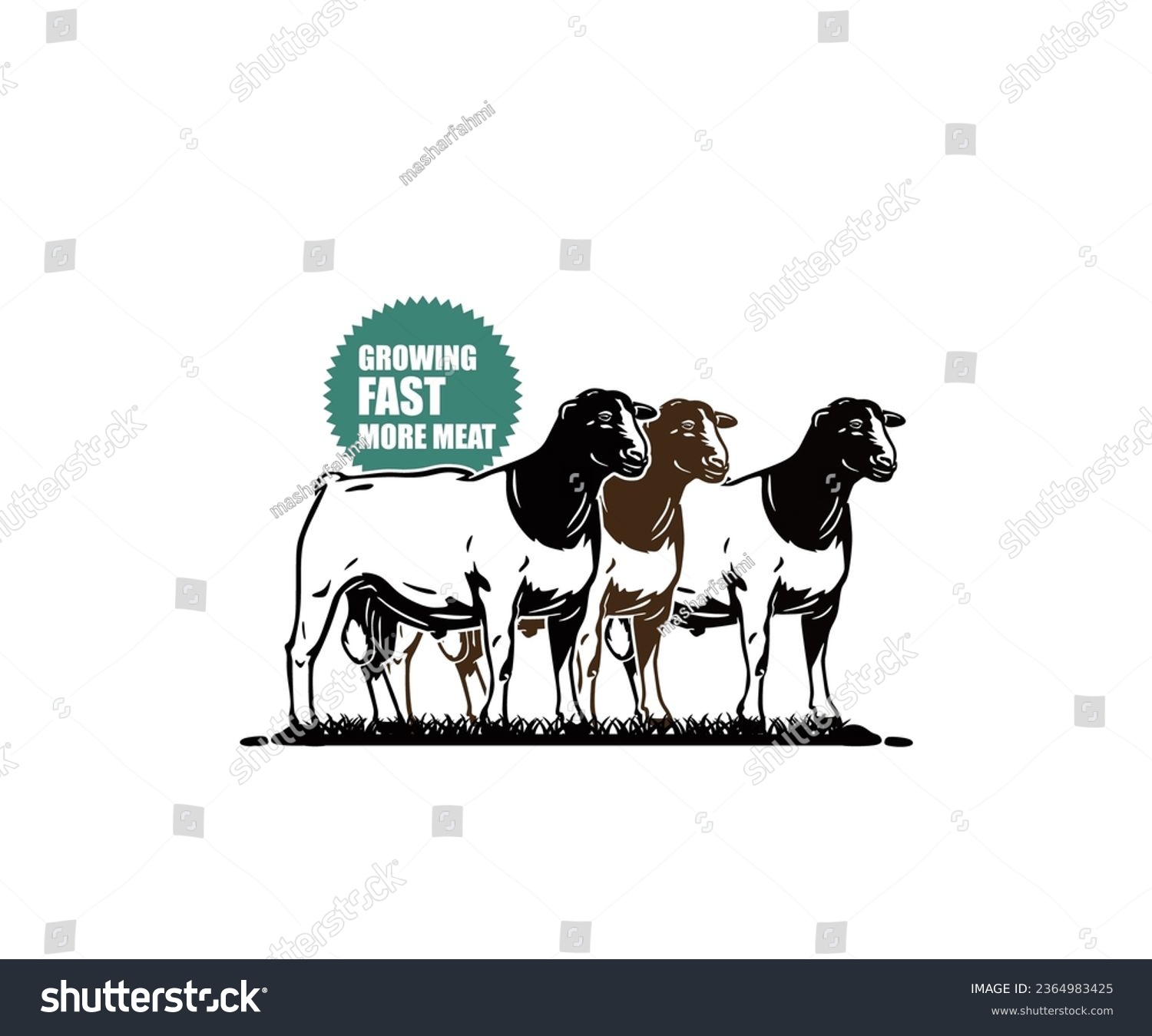 SVG of BIG DORPER SHEEPS STANDING LOGO, silhouette of best breed sheep vector illustrations. svg