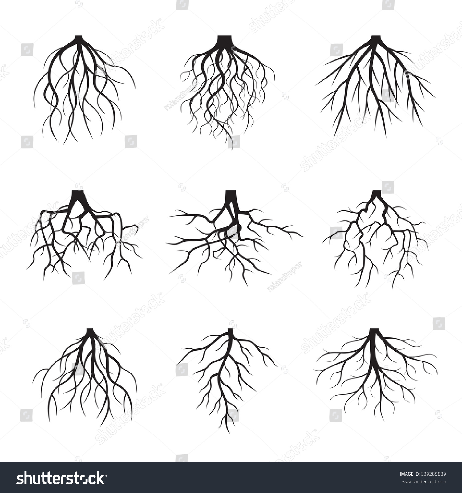 Big Set Black Roots Vector Illustration Stock Vector (Royalty Free ...