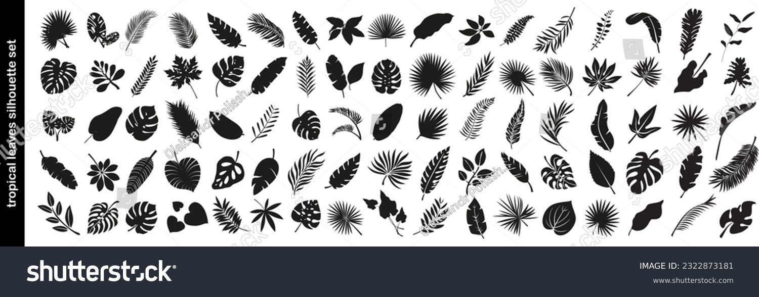 SVG of Big set of tropical black leaves. Monstera, fig, palm. Flowers and leaves of the jungle. Vector illustration svg