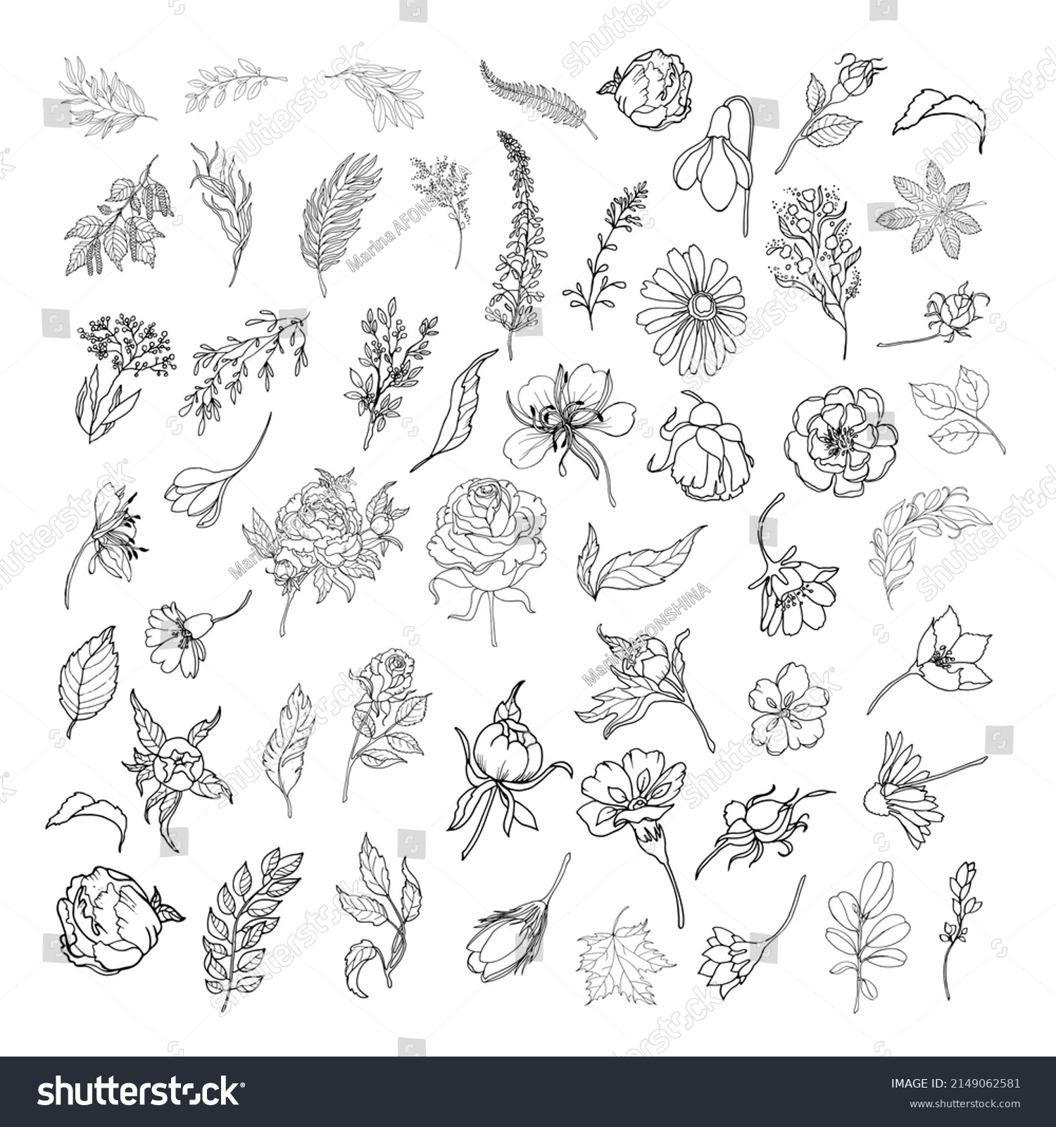 Big Set Leaves Flowers 54 Elements Stock Vector (Royalty Free ...