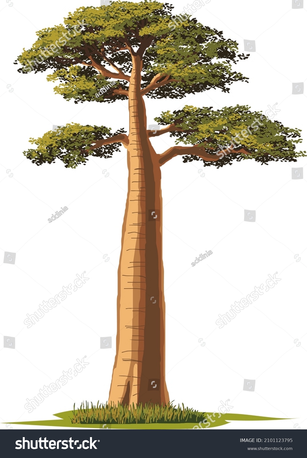 SVG of big tree - baobab, vector illustration on a white background     svg