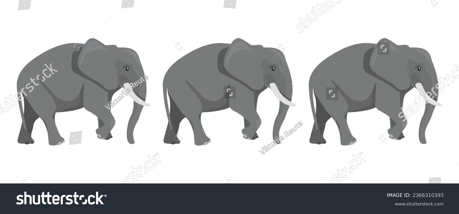 SVG of Biggest earth mammal animal. Family of three African, Asian elephants isolated on white background. Elefant herd. Vector illustration. svg