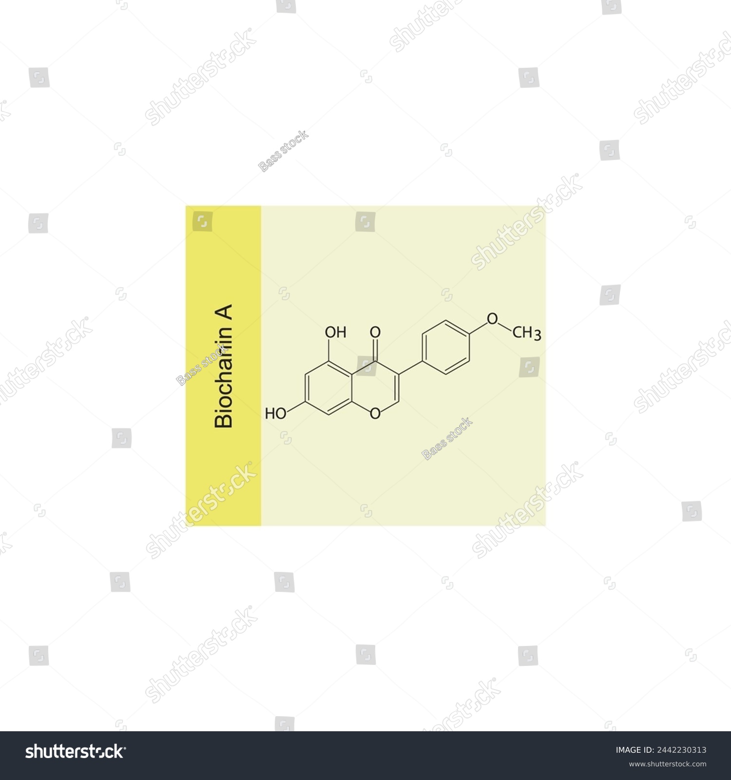 SVG of Biochanin A skeletal structure diagram.Isoflavanone compound molecule scientific illustration on yellow background. svg