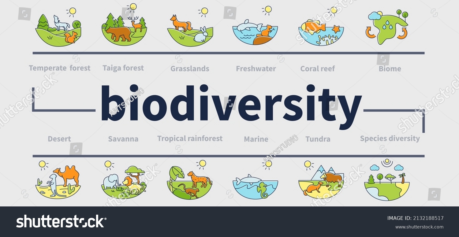 SVG of Biodiversity ecosystem vector infographics. Consists of desert, grassland, tundra, freshwater, rainforest, coral reef zones for layout, info chart, banner. Ecosystem presentation svg