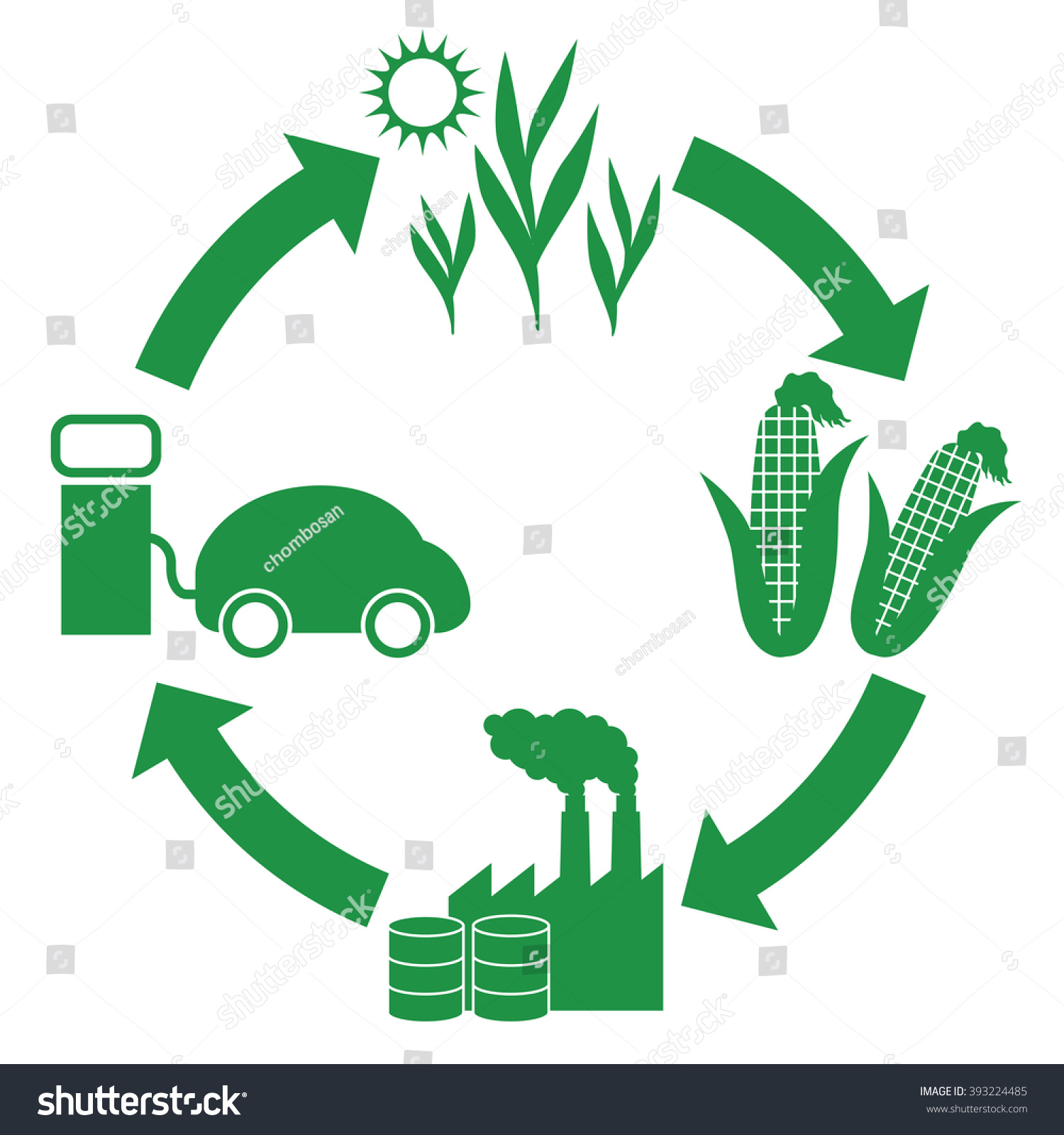 Biofuel Biomass Ethanol Life Cycle Diagram Stock Vector ...