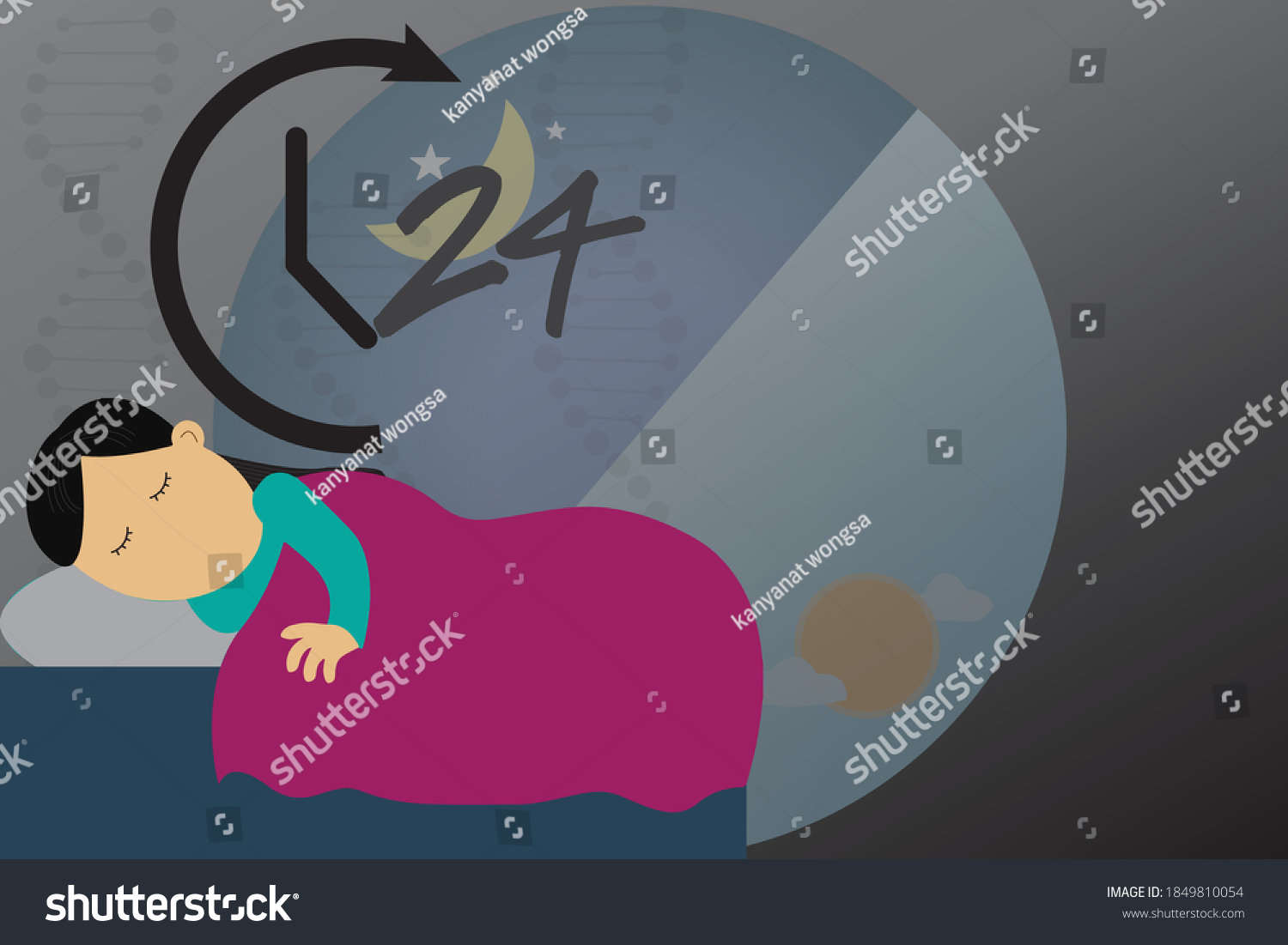 Biological Control Circadian Clock Biochemical Oscillator Stock Vector