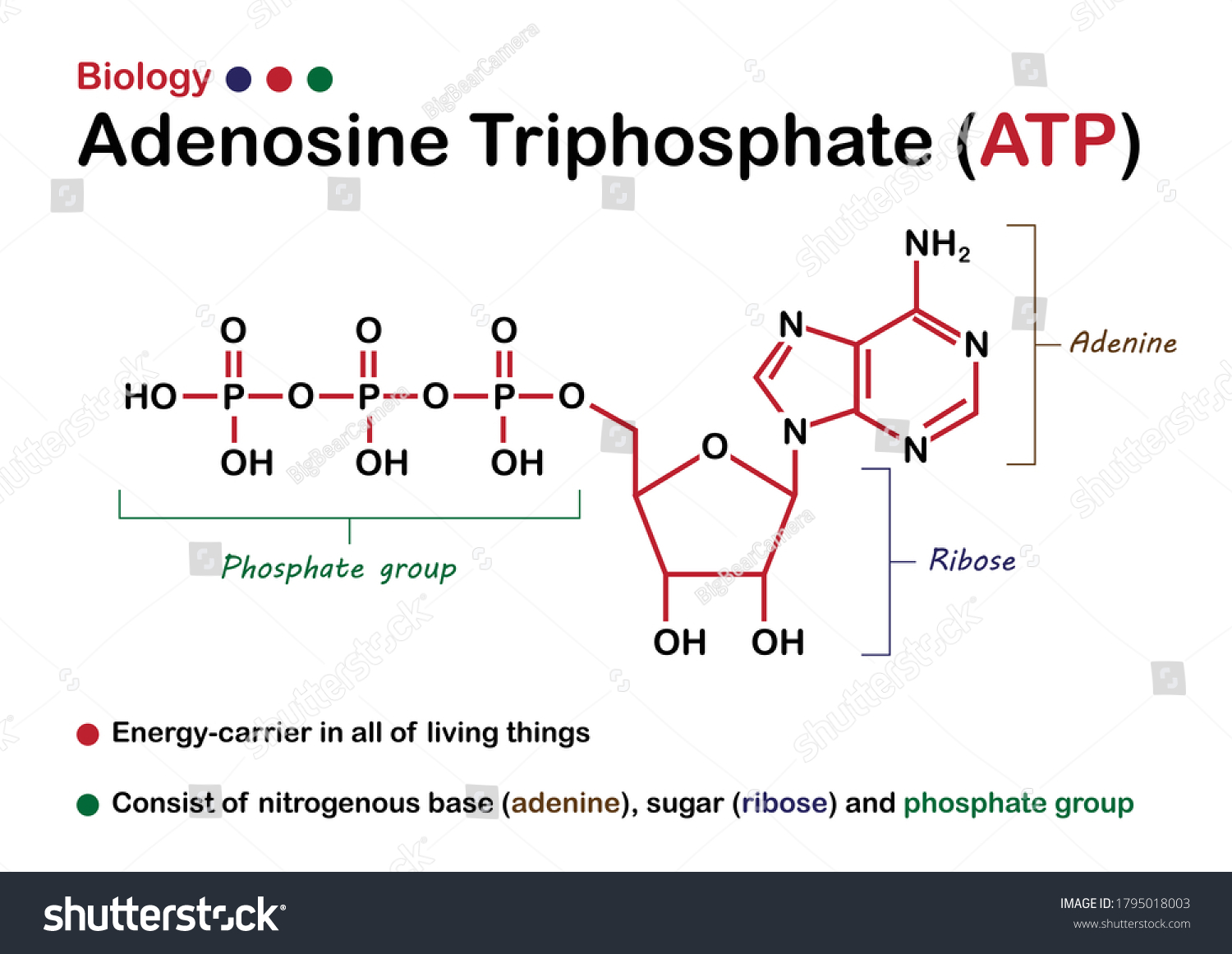 atp-1795018003