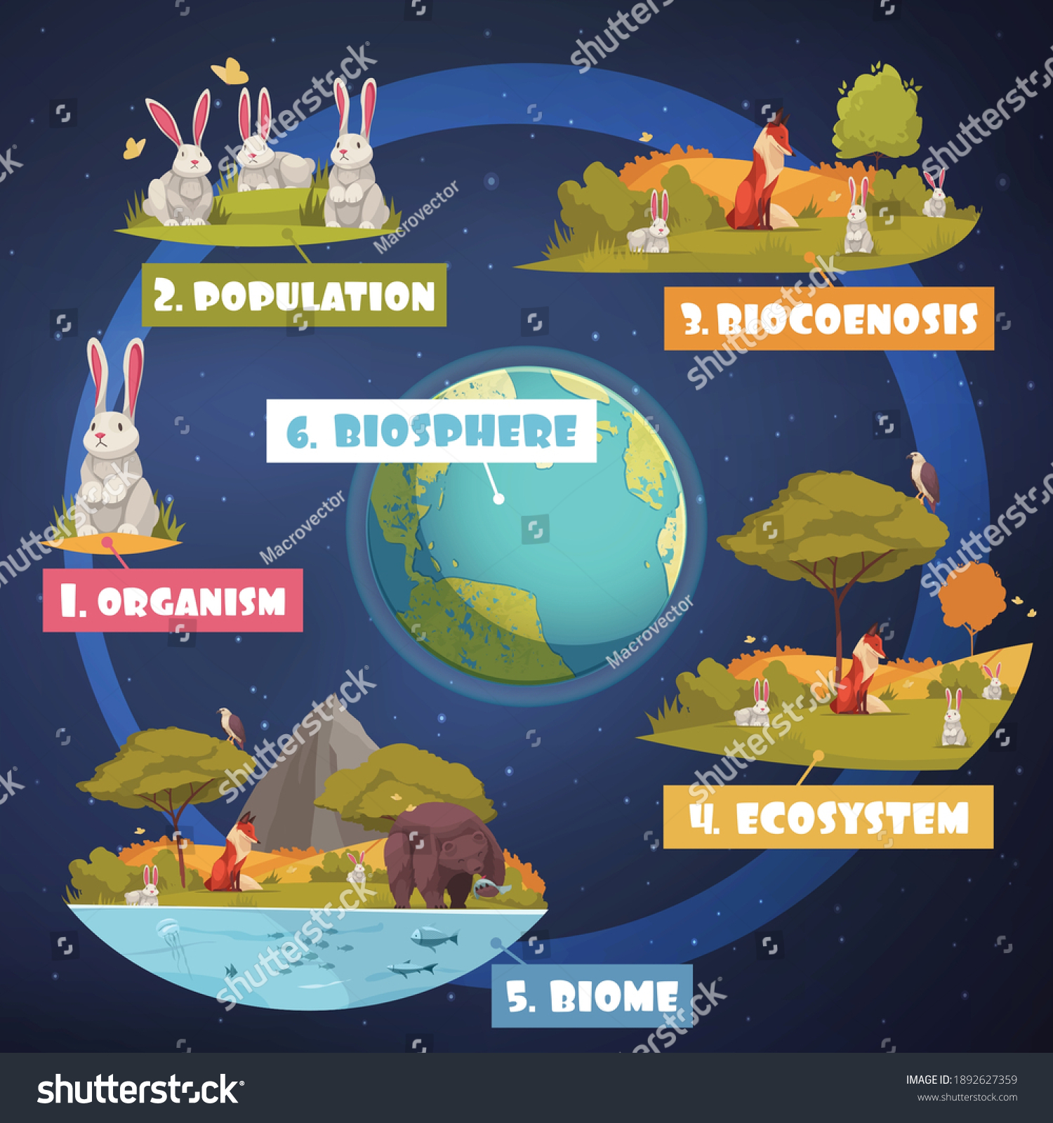 SVG of Biological hierarchy infographics illustrated images of organism population biocoenosis biome ecosystem cartoon vector illustration svg
