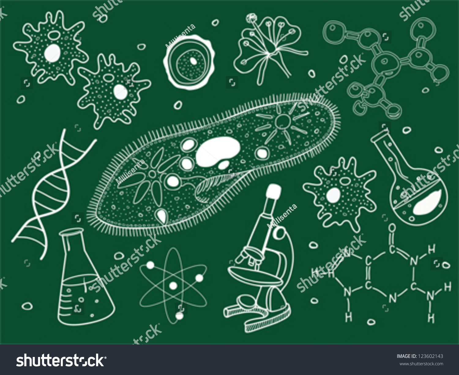 biology sketches on school