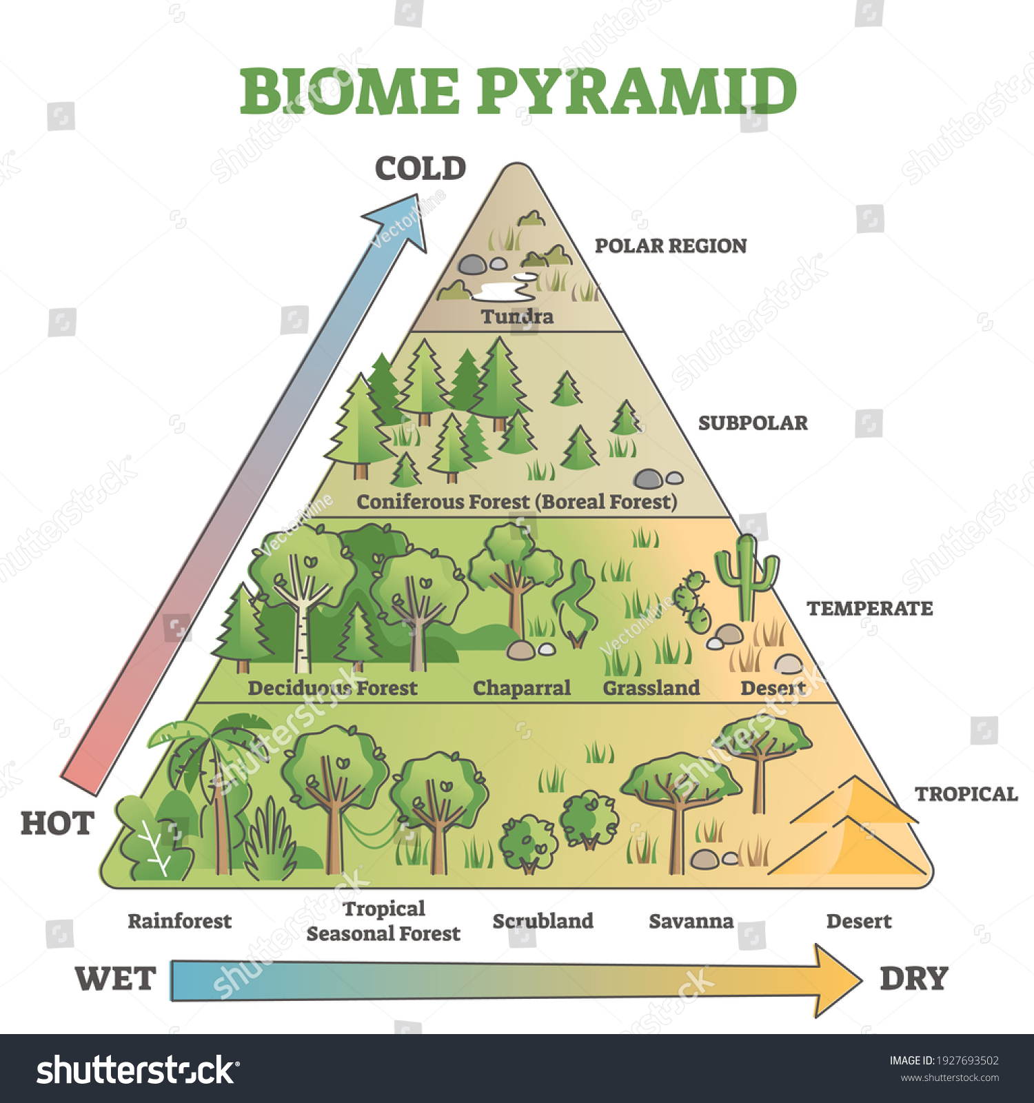 SVG of Biome pyramid as ecological weather or climate classification outline diagram. Educational labeled scheme with temperature and moisture axis that effects polar, subpolar, temperate and tropical region svg