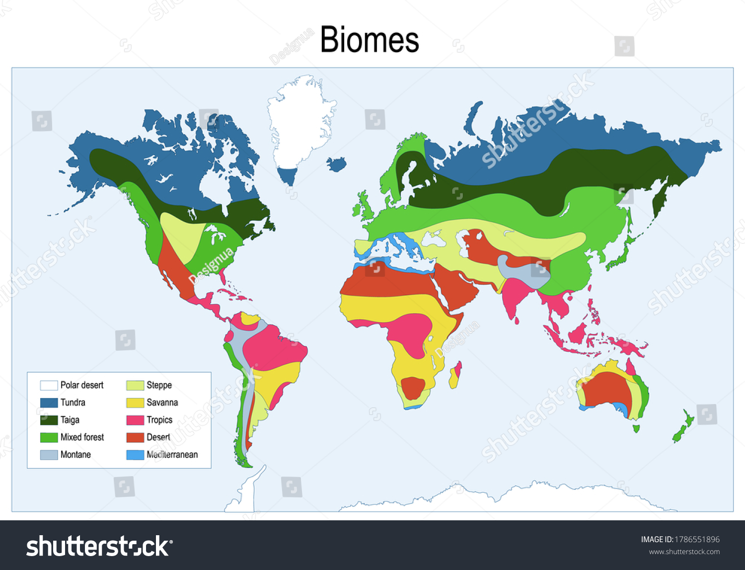 SVG of biomes. Color map of The main biomes in the world. Vector illustration svg