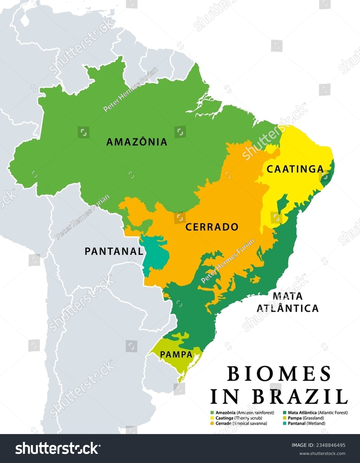 SVG of Biomes in Brazil, map of 6 ecosystems with natural vegetation. Amazonia (rainforest), Caatinga (scrub), Cerrado (savanna), Mata Atlantica (Atlantic Forest), Pampa (grassland), and Pantanal (wetland). svg