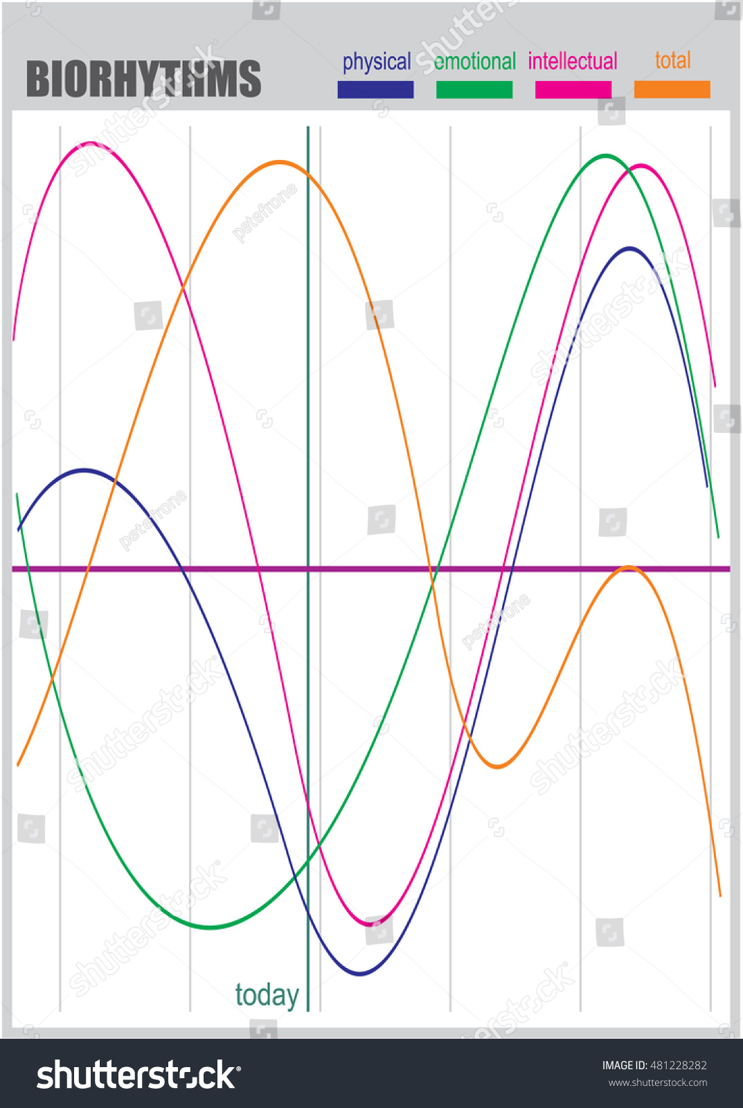 Biorhythms Vector Flow Chart Infographics Element Stock Vector (Royalty