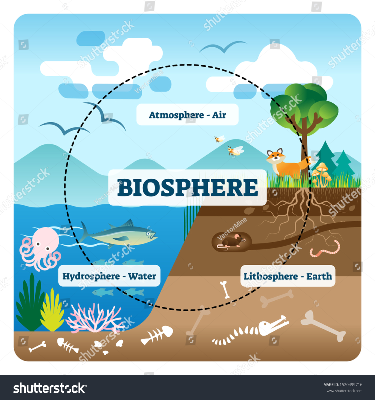 Biosphere Vector Illustration Labeled All Natural Stock Vector (Royalty ...