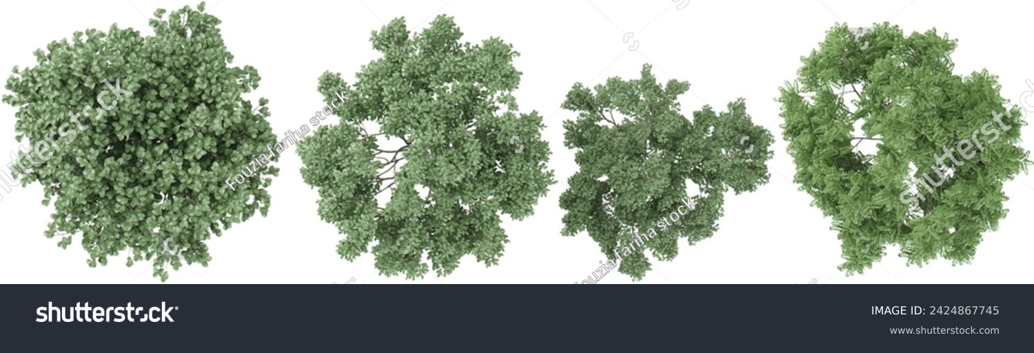 SVG of Birch,Dogwood trees from the top view isolated white background svg