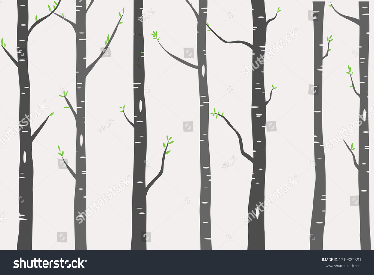 SVG of Birch or Aspen Trees with green leaves illustration svg