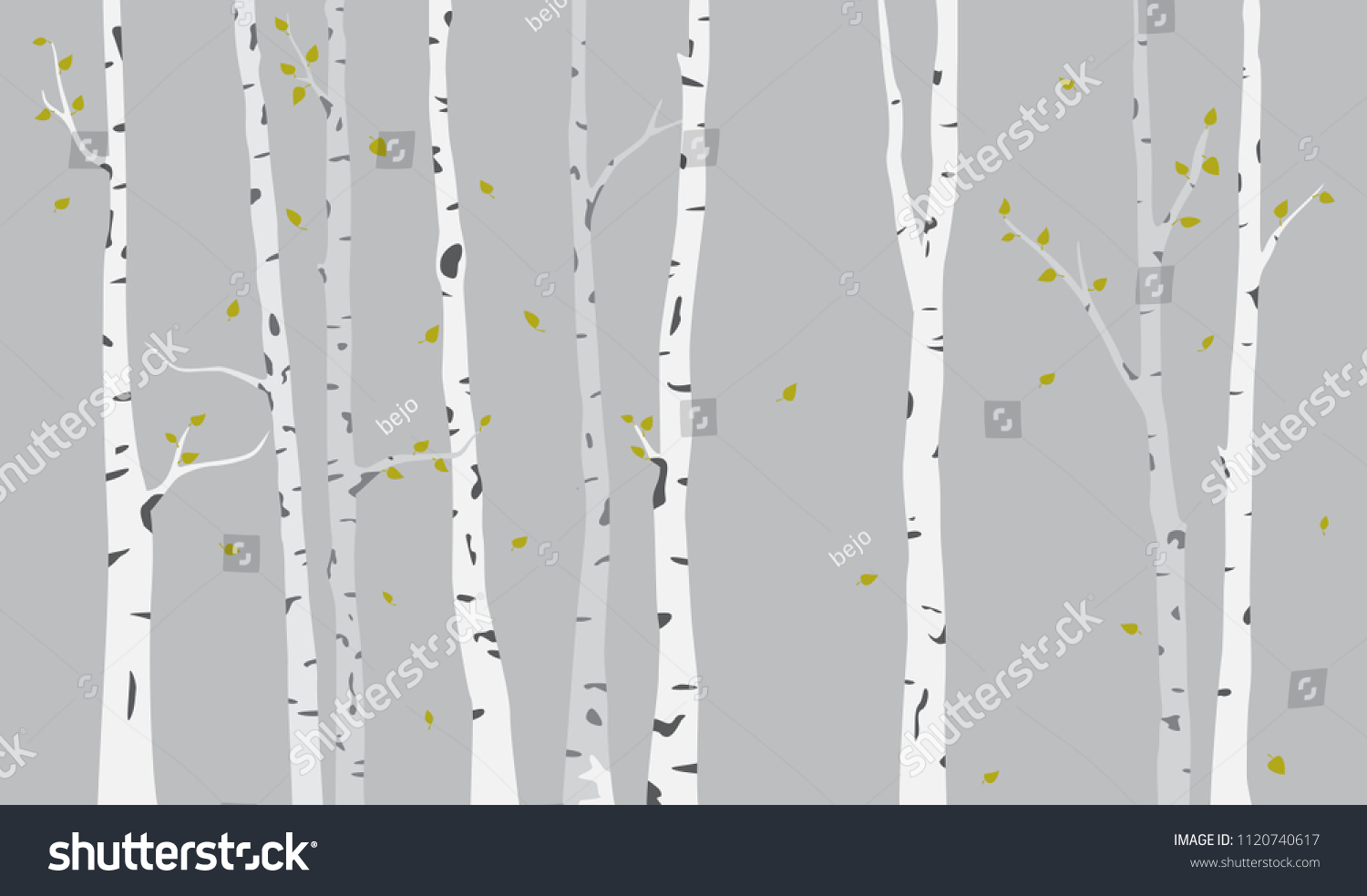 SVG of Birch Tree Silhouette Background svg