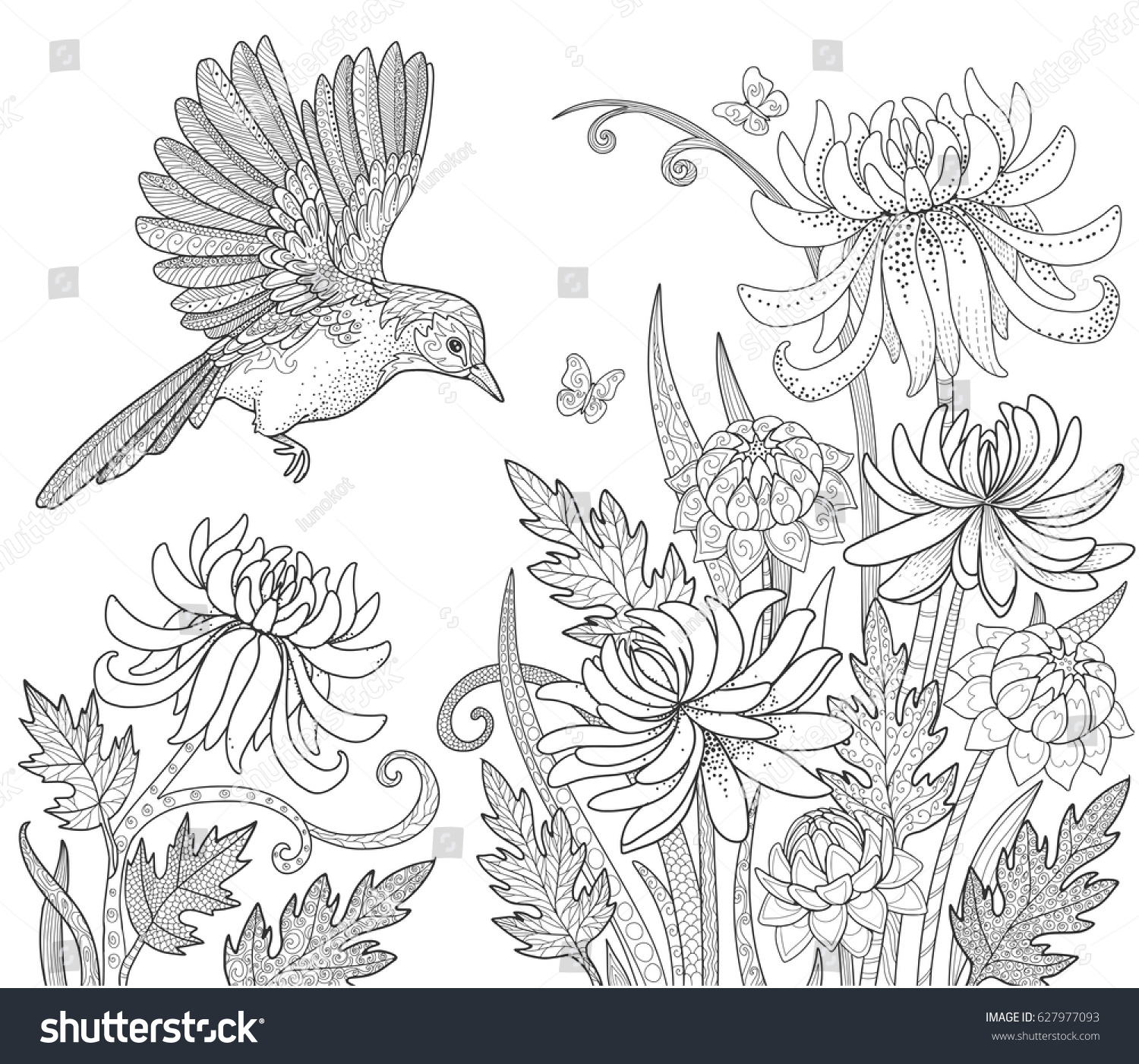 Bird And Flowers Butterfly In Garden Page For Adult Coloring Book Doodle Vector