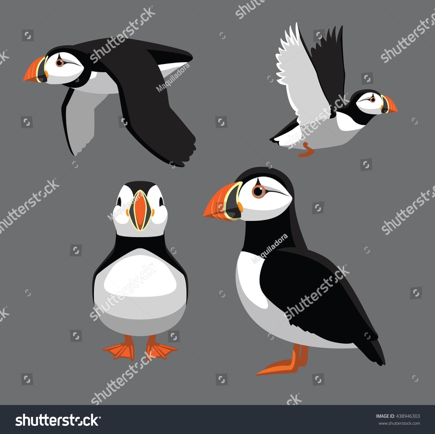 SVG of Bird Poses Atlantic Puffin Vector Illustration svg