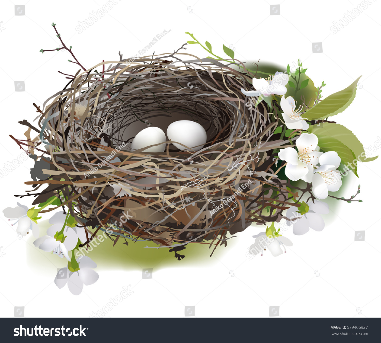 鳥の巣 白い背景に春の花と緑の芽に囲まれた 2つの白い卵の巣の手描きのベクターイラスト のベクター画像素材 ロイヤリティフリー