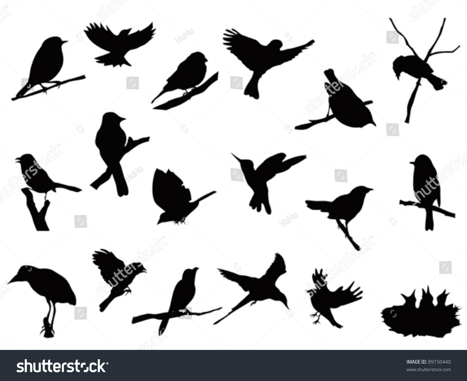 Bird Silhouettes Collection Stock Vector Illustration 89150440 ...