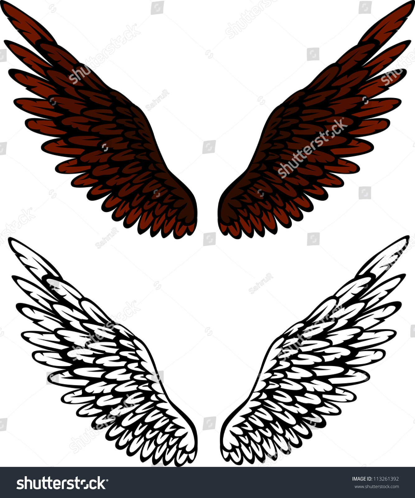 Bird Wings Stock Vector 113261392 - Shutterstock