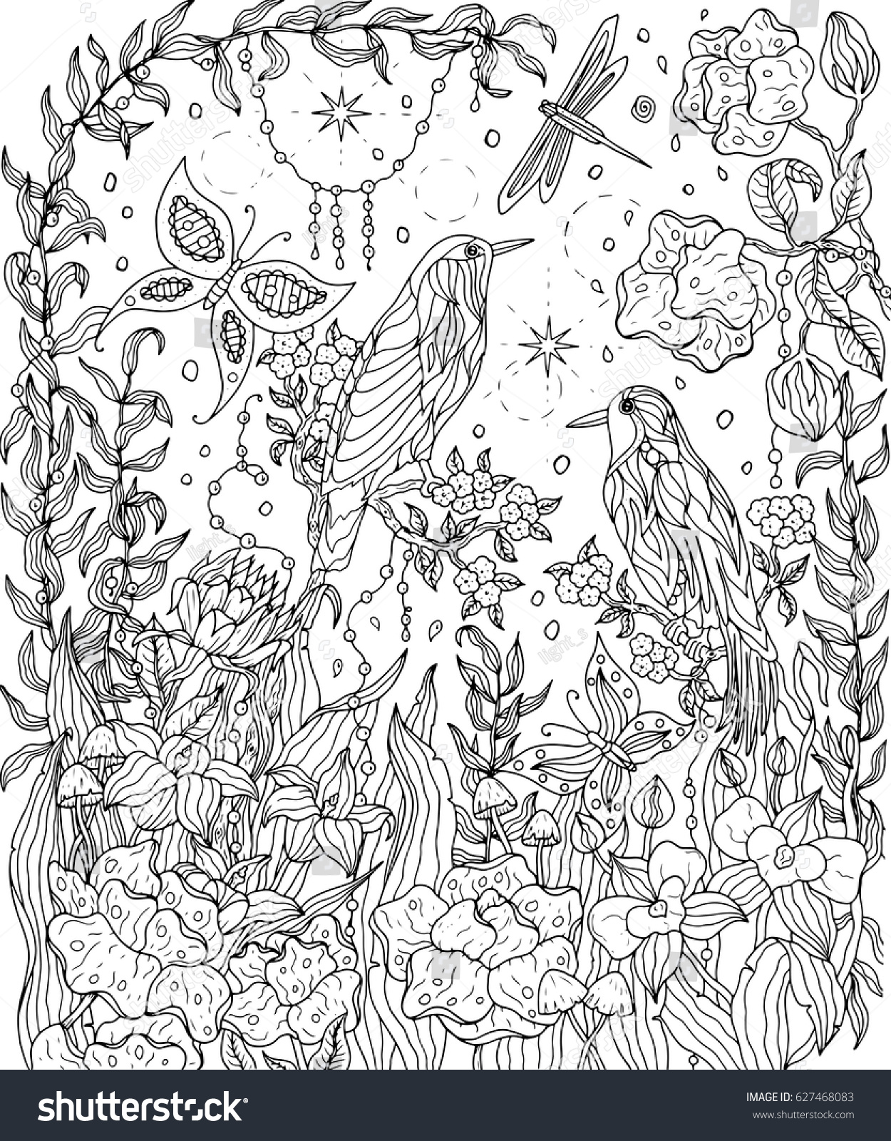 Birds and flowers coloring page Birds of paradise hand drawing vector illustration