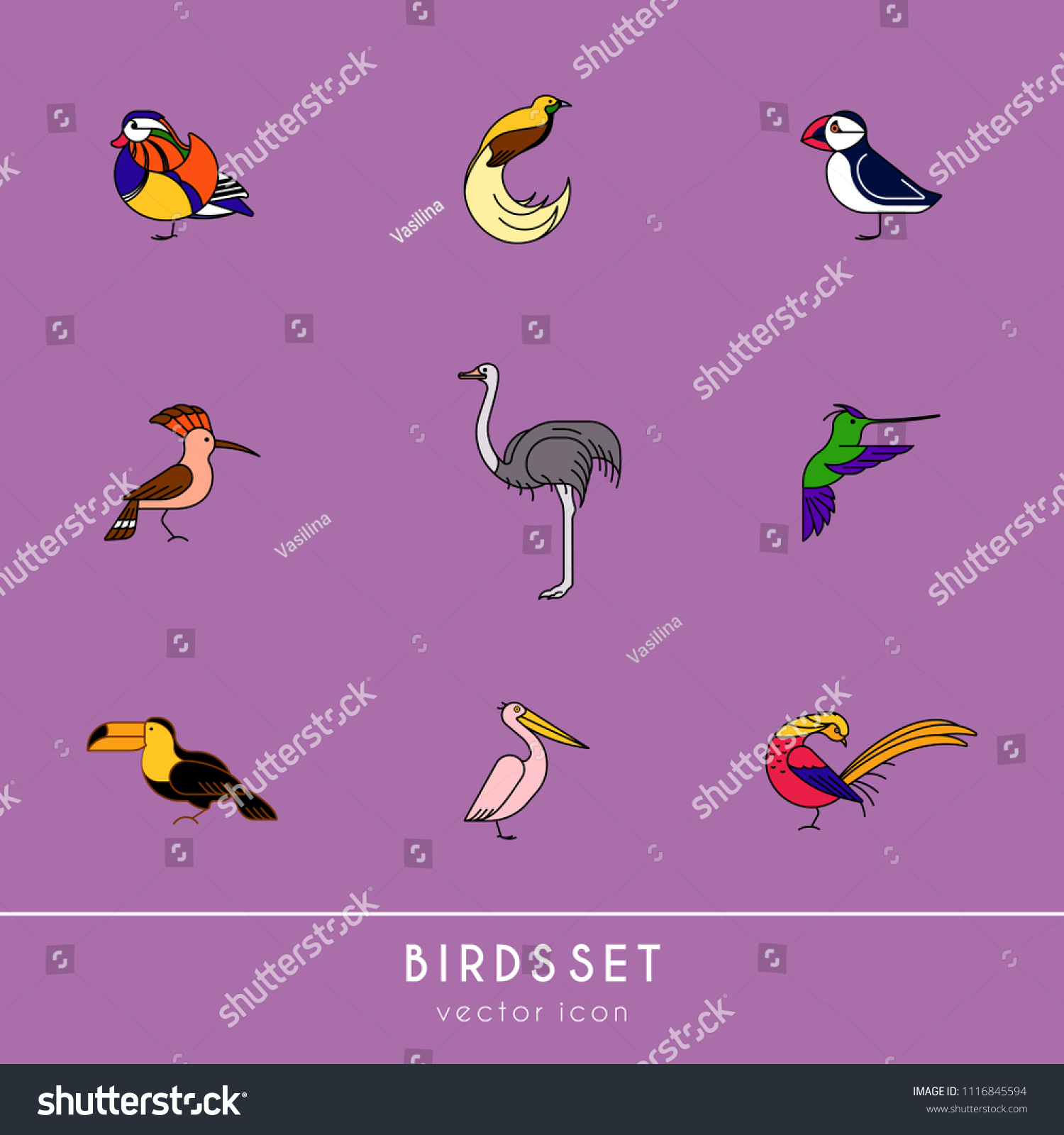 Birds Different Species Colour Icons Set Stock Vector - 