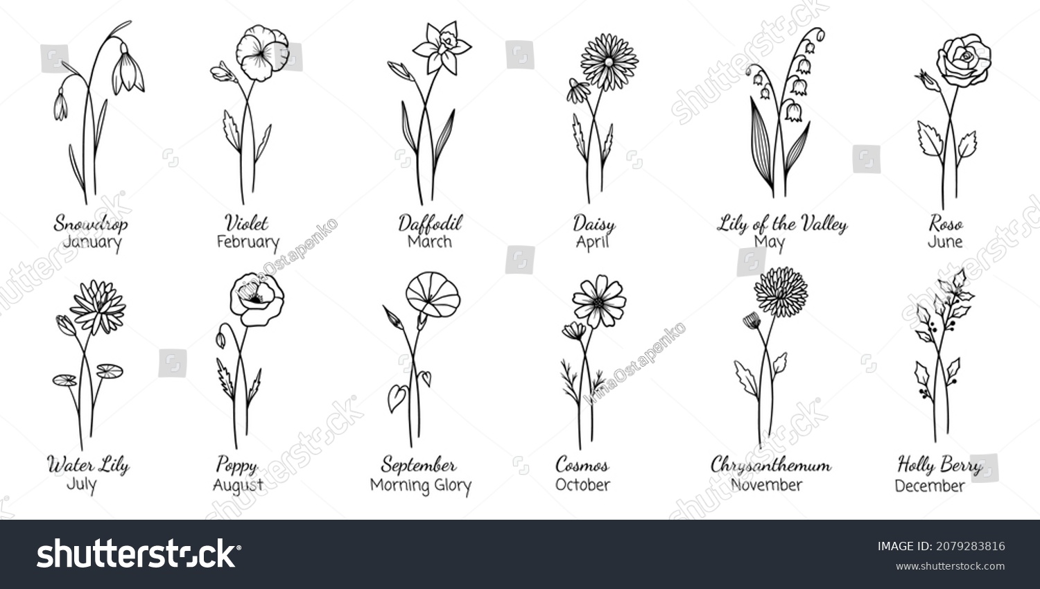 birth month flower drawings - fashiondesignsketchespencil