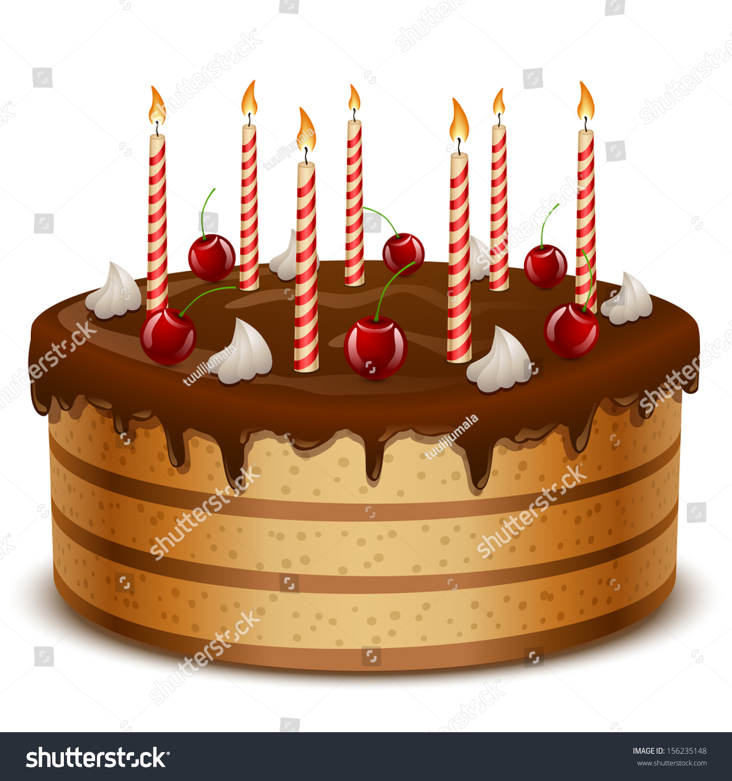 Birthday Cake Candles Isolated On White Stock Vector 156235148 ...