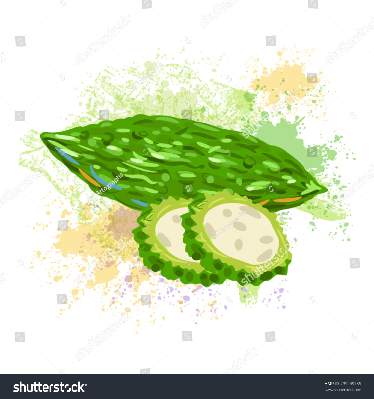 Bitter Gourd Stock Vector (Royalty Free) 239249785 - Shutterstock