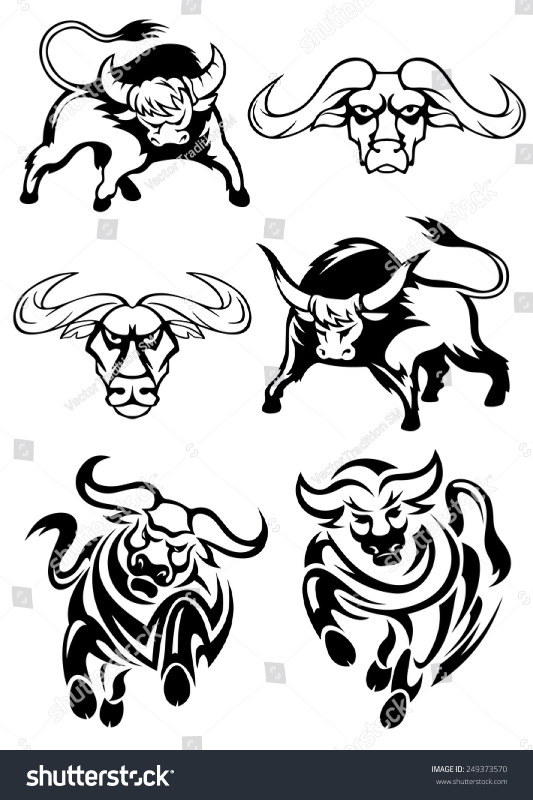 Black And White Bulls Or Buffaloes In Various Poses As Two Heads, Two ...