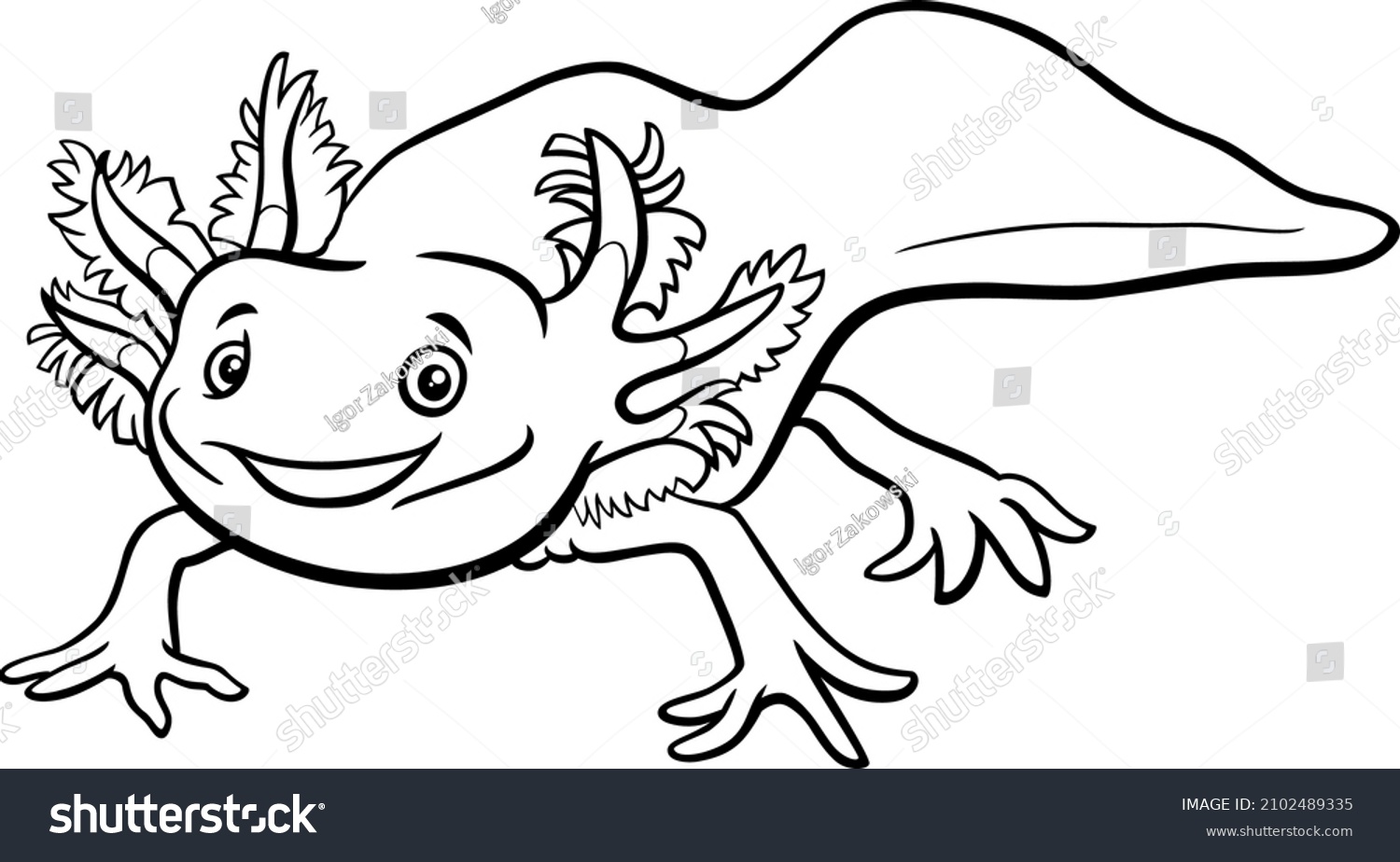 Black White Cartoon Illustration Axolotl Aquatic Stock Vector (Royalty ...