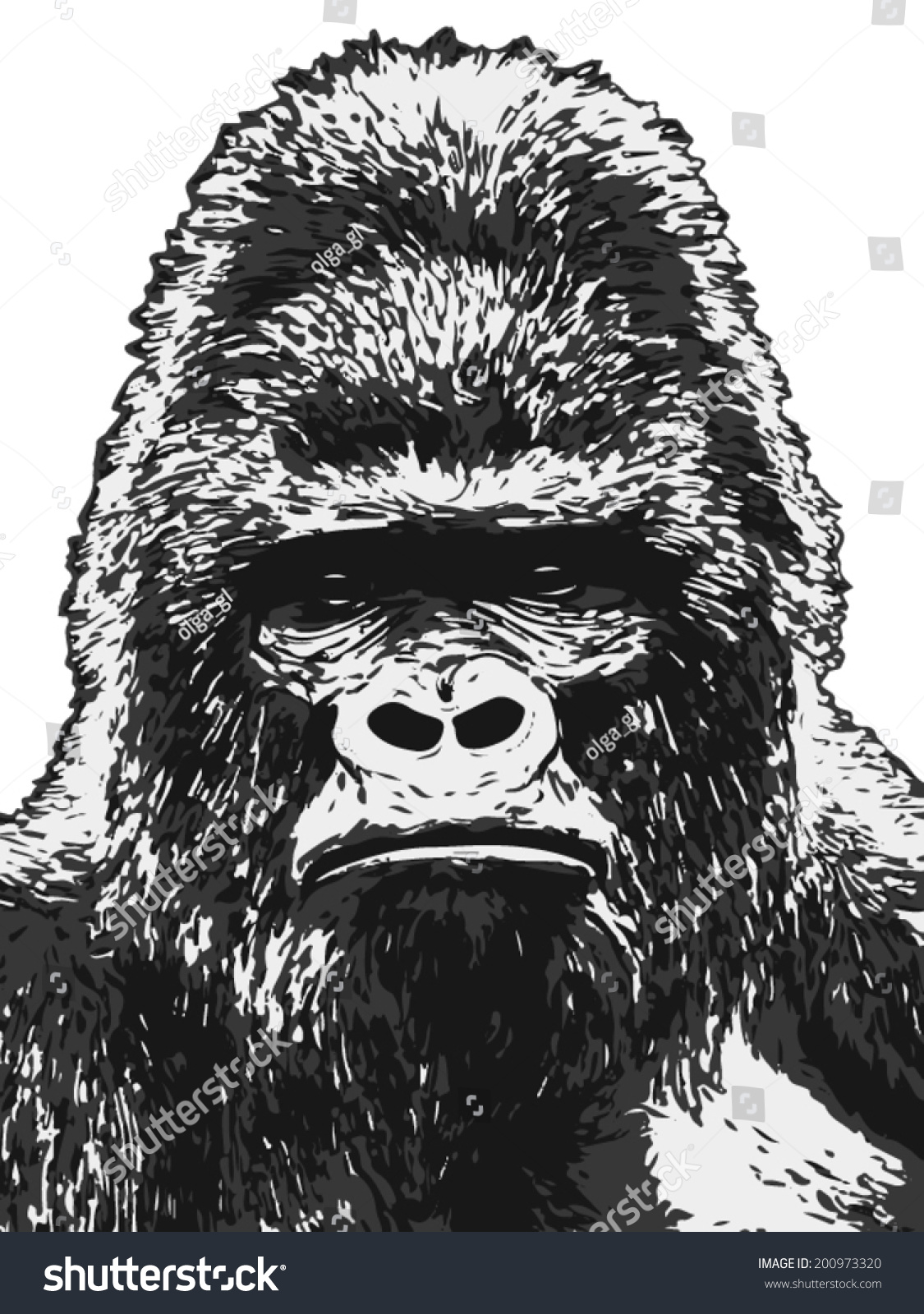 Black White Closeup Sketch Portrait Gorilla vector de stock libre de regalías