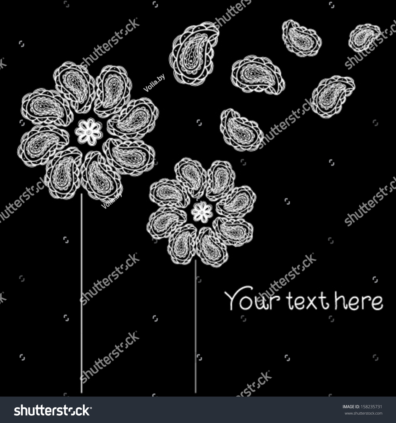 Black White Daisies Vector Card Elegant Stock Vector Royalty Free Black White Daisies Vector Card Elegant Stock Vector Royalty Free