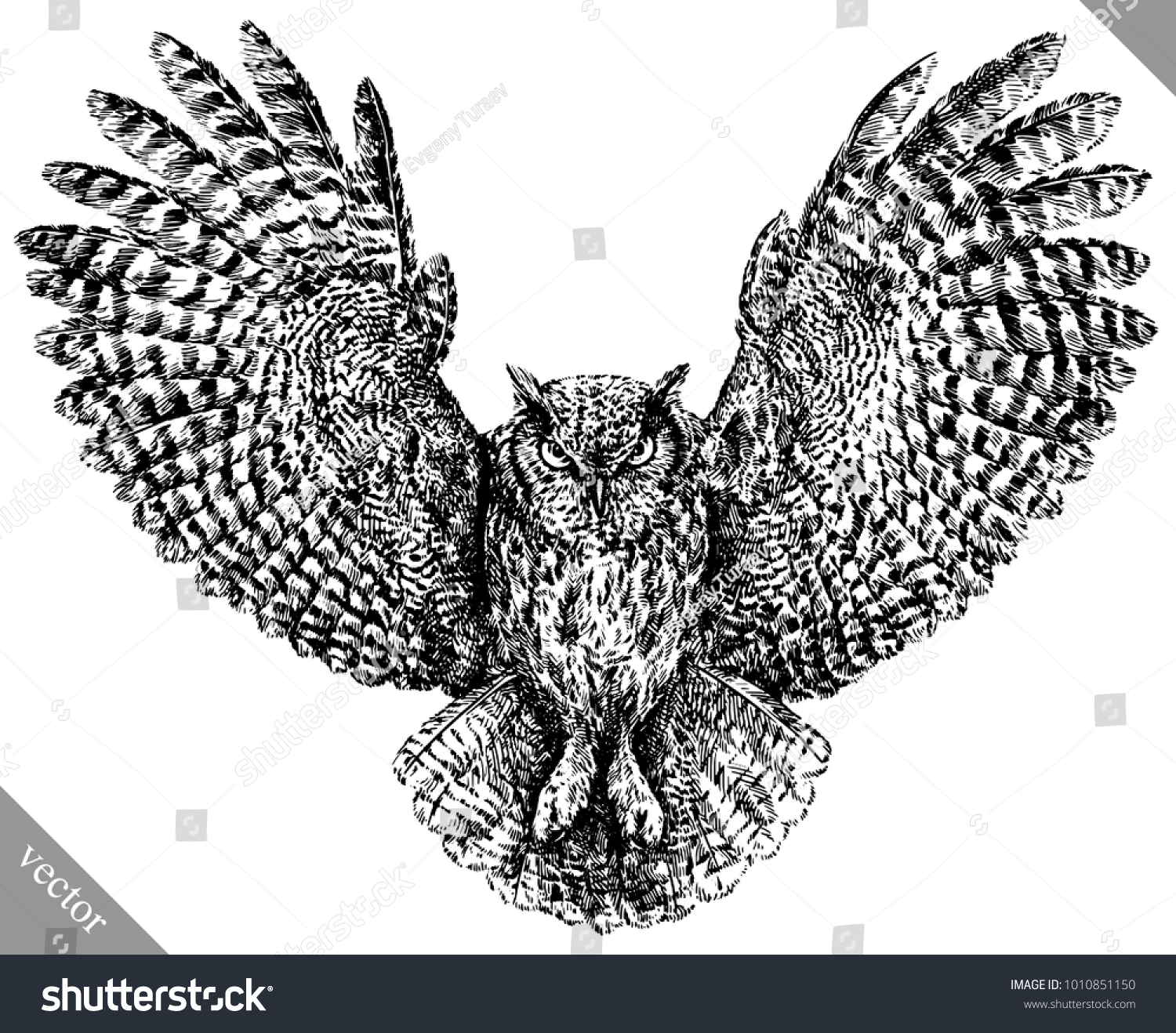 Black White Engrave Isolated Owl Vector Stock Vector Royalty Free