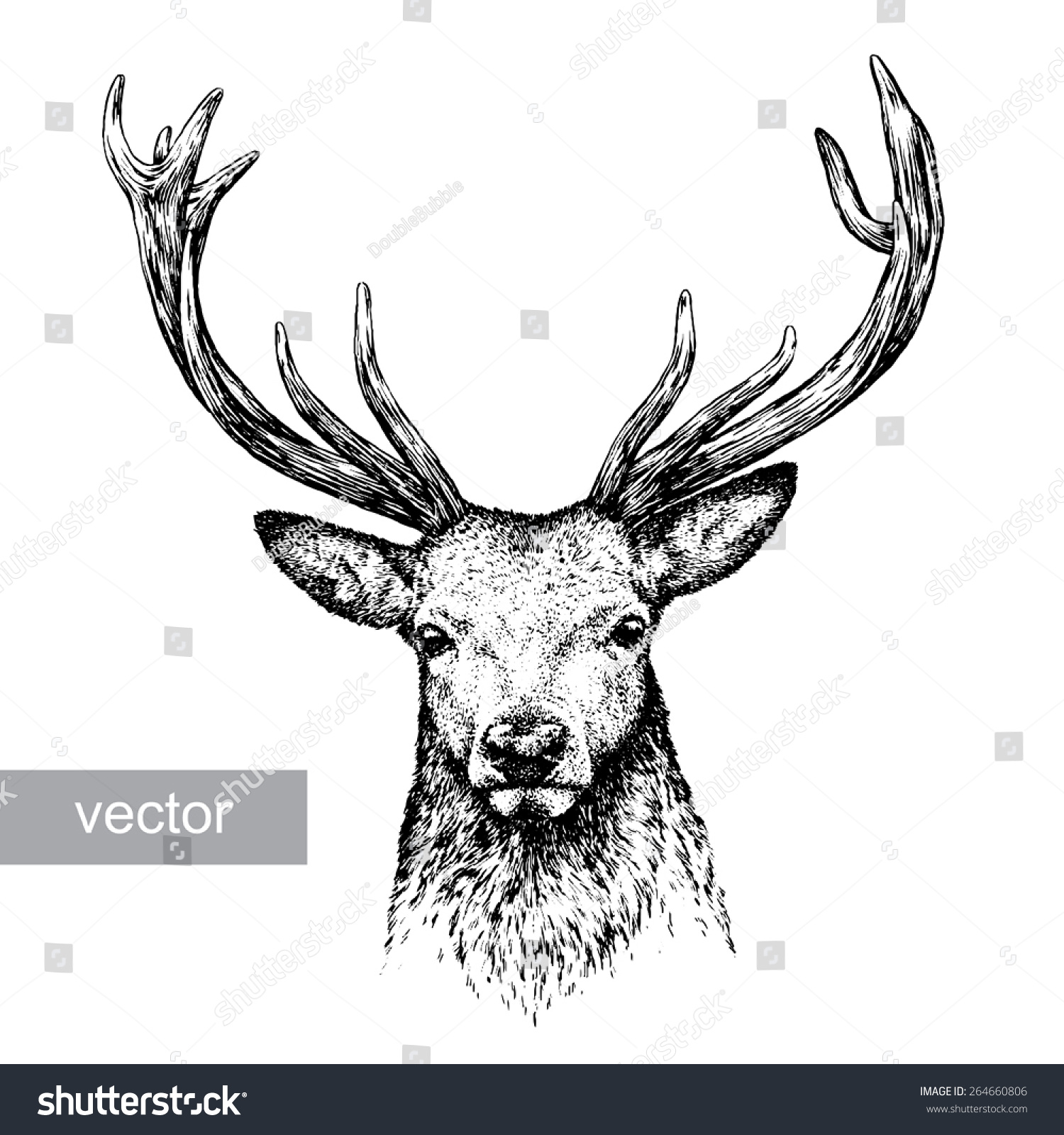 Black And White Engrave Isolated Vector Deer - 264660806 : Shutterstock