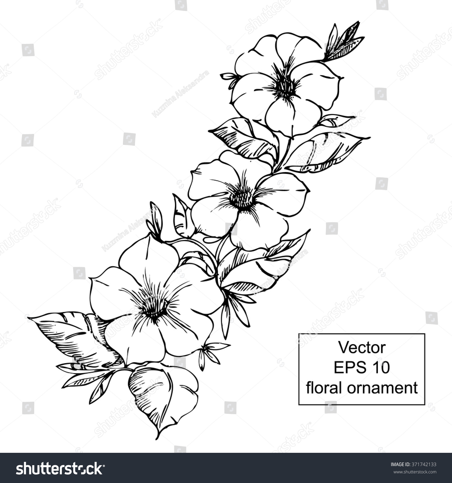 Black White Floral Ornament Flowers Leaves Stock Vector Royalty Free