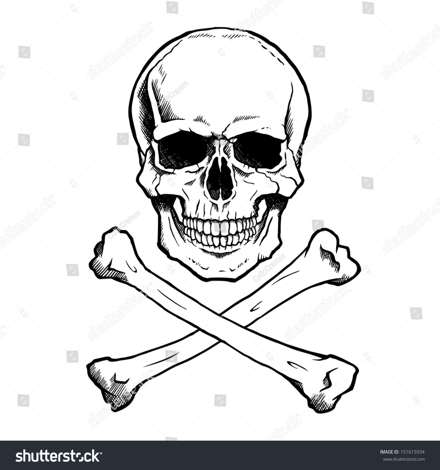 Black And White Human Skull And Crossbones. Stock Vector Illustration 