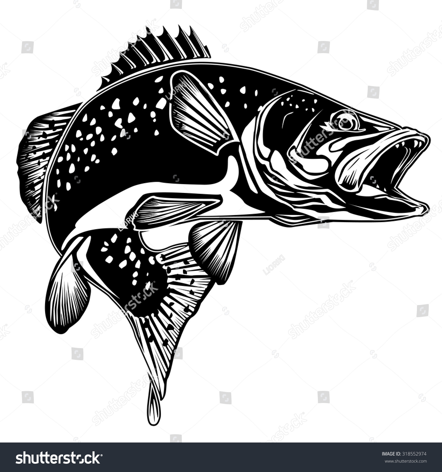 Black White Illustration Wild Trout Vector Stock Vector 318552974 ...