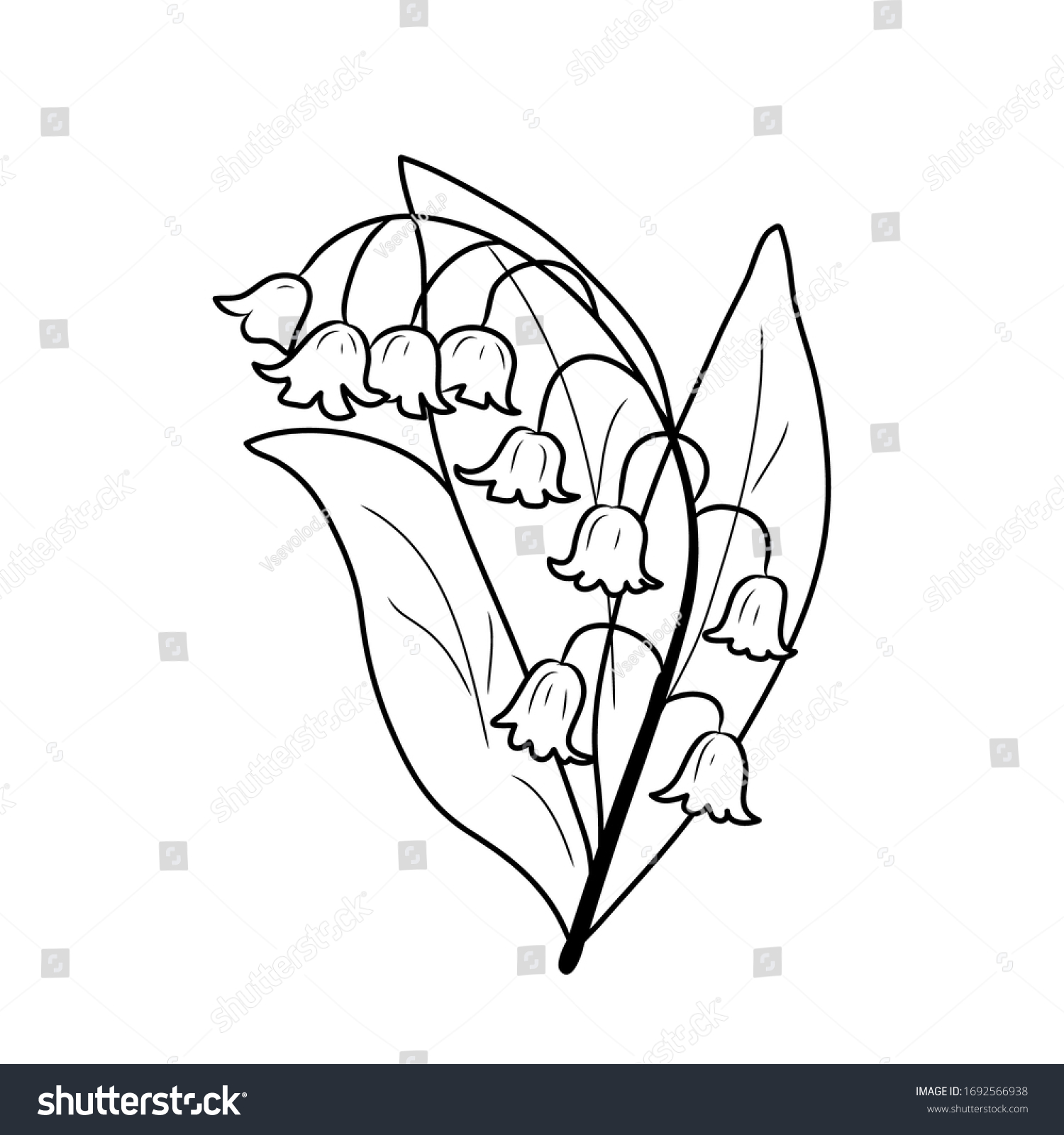 Black White Image Lily Valley Vector Stock Vector (Royalty Free ...