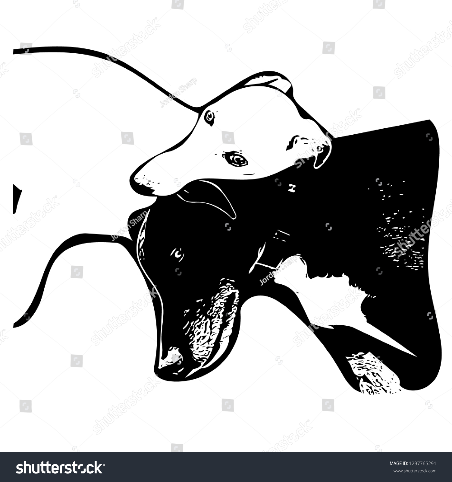 SVG of Black and white ink drawing of two Whippet dogs snuggling. svg