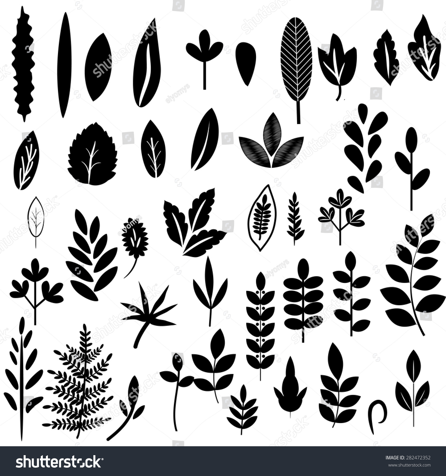 Black And White Leaves Set Stock Vector Illustration 282472352 ...