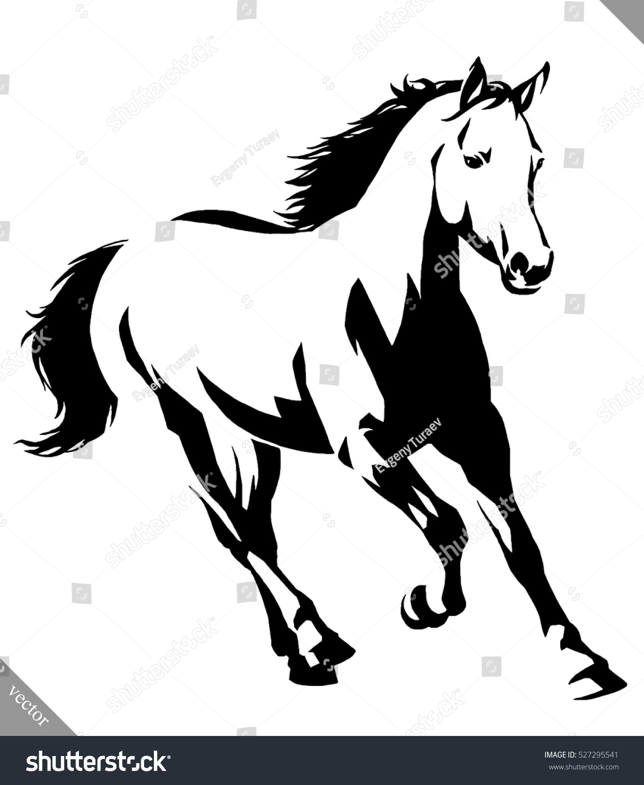 Black White Linear Paint Draw Horse Stock Vector Royalty Free