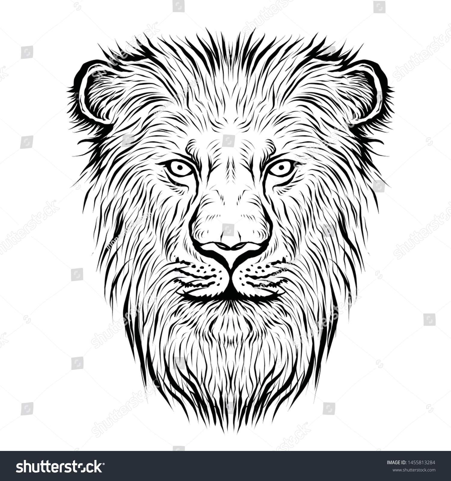 Black White Lion Face Vector Illustration Stock Vector (Royalty Free