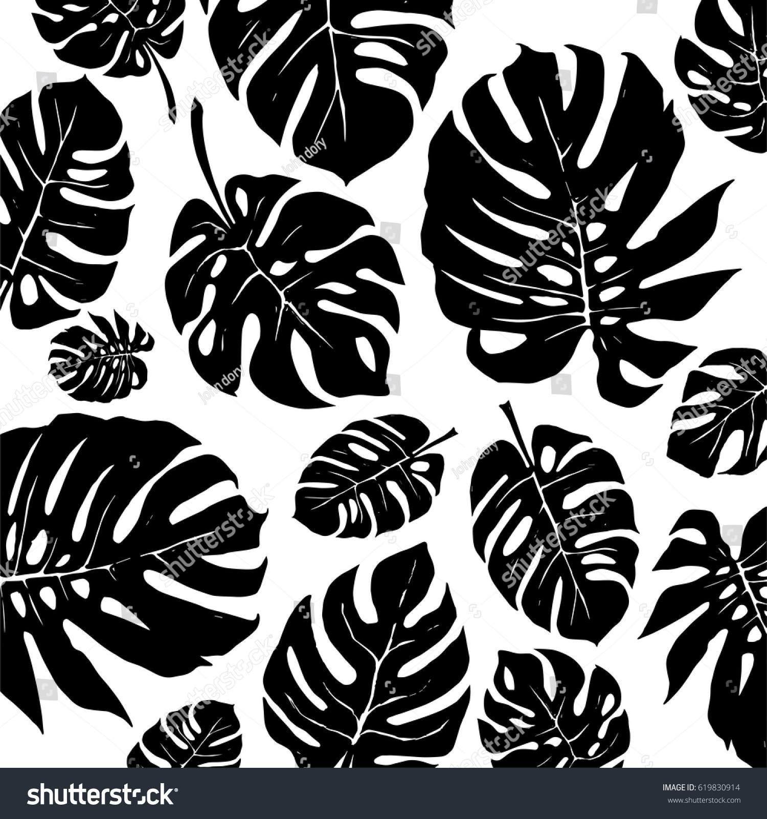 白黒のモンステラ熱帯の葉柄 ベクター画像 のベクター画像素材 ロイヤリティフリー